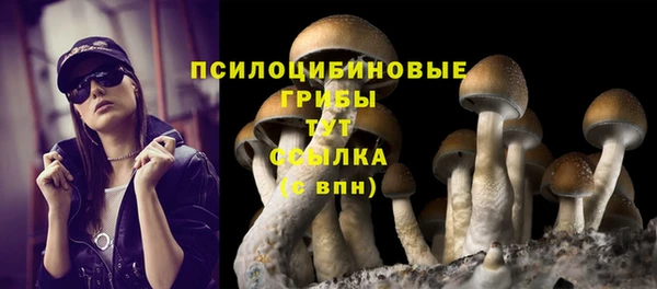 гидропоника Киреевск