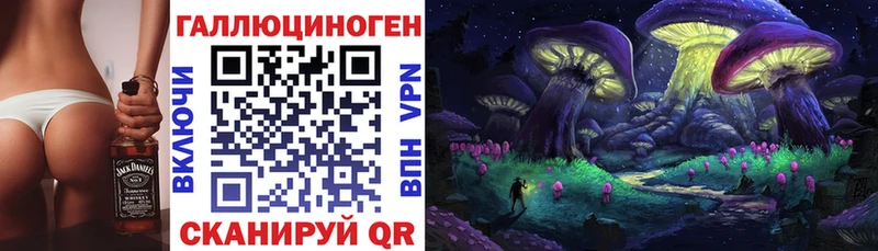 hydra зеркало Мичуринск Псилоцибиновые грибы Psilocybine cubensis